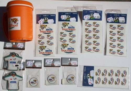 Cheetah mug and bits - older style